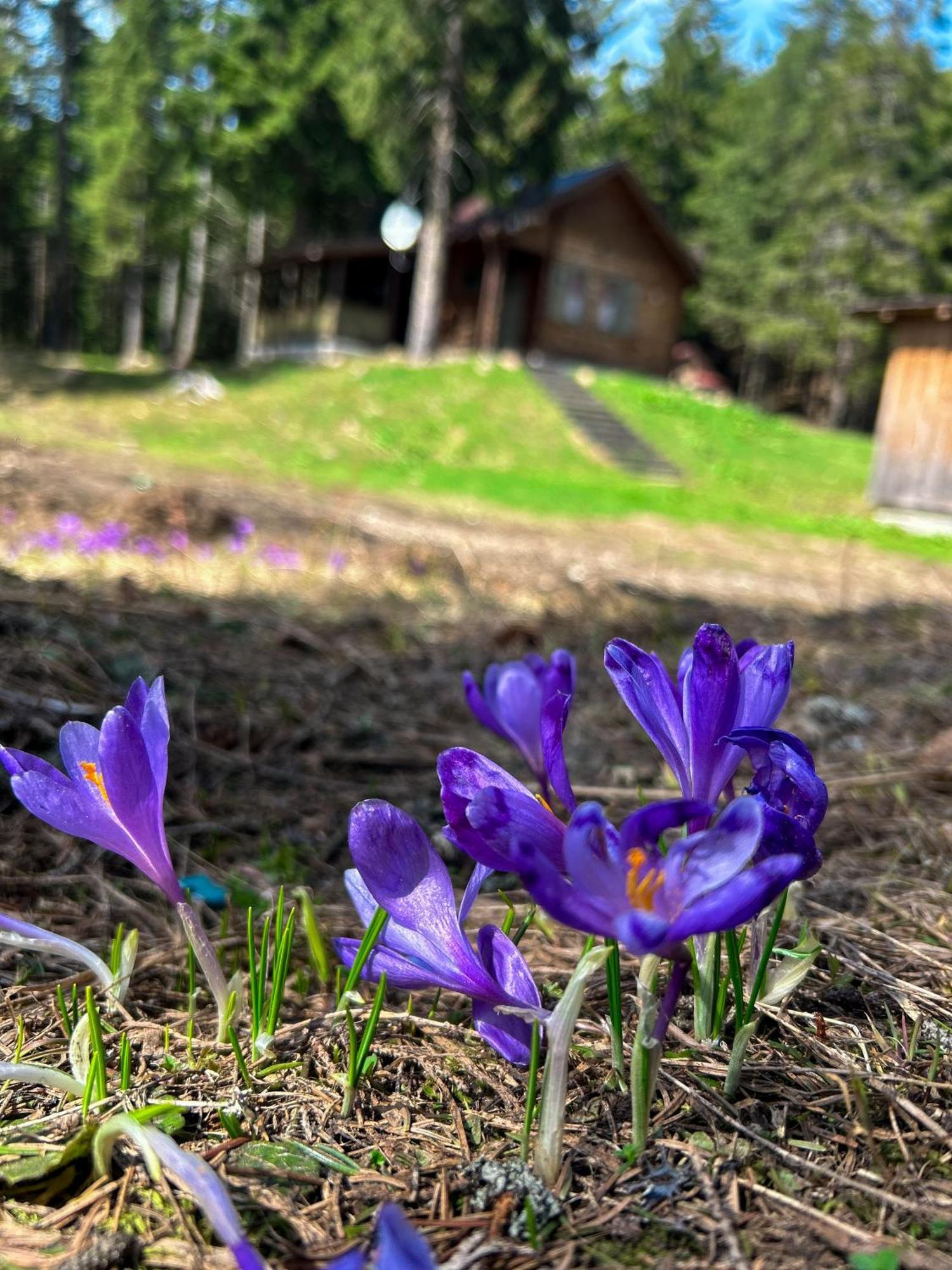 Natura Haziko Извоаре Экстерьер фото